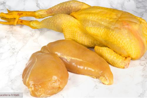 Pollo
